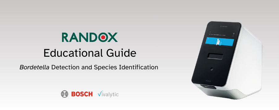 Bordetella-Educational-Guide-Blog-Header